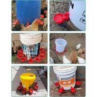 Lot de 5 abreuvoirs bol pour bidon en plastique rouge pour volailles