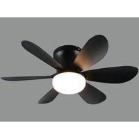 REALITY Plafonnier LED avec ventilateur Lund R67462132, 20W, 2700... 6500K, 850lm, CCT, IP20, noir
