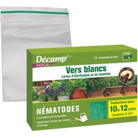 Nématodes HB anti vers blancs et otiorhynques – 1M pour 2m² – Lutte biologique ciblée contre ravageurs du sol – Décamp'
