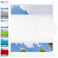 WOLTU Plissee Klemmfix ohne Bohren 60x220cm (BxH) Weiß Faltrollo Plisseerollo mit Klemmträger Lichtdurchlässig, Jalousie Sichtschutz und Sonnenschutz Easyfix Rollo für Fenster & Tür
