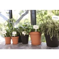 SOTTOVASO GREEN BASICS GROWPOT SAUCER 25CM MILD TERRA
