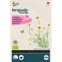 Buzzy Organic Camomille - Bio Semences - Ca. 0,1 gr (Livraison