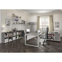 Bureau droit de direction Ochroleucea