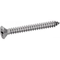 Schrauben Acton din 7982 Edelstahl 3.9x25 mm 200 Stück