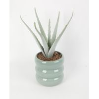 TrendLine Kunstpflanze Aloe Ø 13 x 29 cm grün Künstliche Pflanze