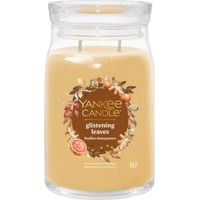 YANKEE CANDLE BOUGIE PARFUMÉE DANS UN VERRE (GRAND) - FEUILLES BRILLANTES - BOUGIE SIGNATURE « COLLECTION AUTOMNE 2025 » - DURÉE