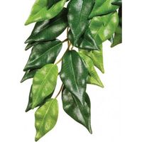 Exo Terra Planta de Seda Ficus S.
