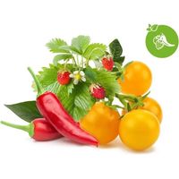 Click & Grow Mix Früchte und Gemüse