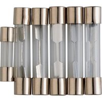 Glas-Sicherung 6 Stück - Flauraud
