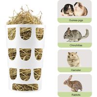 Hay Rack for Small Animals, Food Dispensers Porous Hangable Plastic Feeding Bowl, Cage Accessories for Rabbits Hamster Chinchillas - White