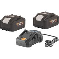 Kit de inicio Procraft 20 V 20/4A Cargador rápido + 2x 20/8 Batería 8,0 Ah