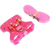 Kit Harnais de Marche de Petits Animaux Sangle de Poitrine Extérieure pour Furet Chinchilla Écureuil