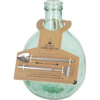 Kit de démarrage pour plante en terrarium en verre et inox - 5L - D 21,2 x H 33,1 cm - Livraison gratuite
