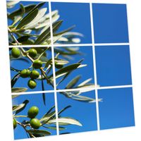 Pack de 9 Dalles LED Imprimées 60x60 cm - Motif Parfum d’Oliviers - Lumière Blanc Neutre 4000K - Panneaux Lumineux Plafond Bureau Salon Cuisine - Faciles à Installer