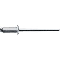 Rivetto a strappo gambo rivetto dxl 6.0x16.0mm acciaio / acciaio 250 pezzi GESIPA (Per 250)