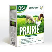 Semences BSI Prairie 2,5 kg - Couverture jusqu'à 375 m², mélange gazon & pâturage