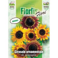Flortis Semi di Girasole Ornamentali - Pronti per Semina