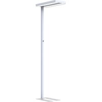 FRANKEL kaiserkraft, Lampe sur pied LED Lara Up & Down,