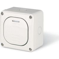 Interrupteur simple en saillie, 10AX M95, IP66, gris, PROTECTA