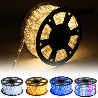 Jiubiaz Guirlande lumineuse - Tube lumineux 40m 8 fonctions- Blanc chaud - IP44