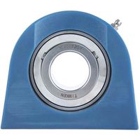 Palier plastique Hygienic Blue SUCBTBYM210-31/FVSL613-TIMKEN