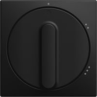 Busch-Jaeger Zentralscheibe mit Aufdruck Symbol "1-2-3" für Stufenschalter, Drehknopf schwarz matt - Busch-balance® SI (2542 DR/02-915), 2CKA001710A4258