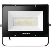 Proiettore esterno Toshiba 386093 10W 6500K IP65