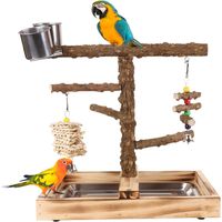 Parrot Playstand interactif – gym résistant avec tasses, jouets intégrés, pour activités nourrissage/dressage