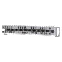 Corning LSA-Plus2 Schilderrahmen 10DA rastbar DE620002597