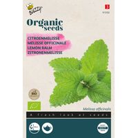 Buzzy Organic Mélisse officinale - Bio Semences - Ca. 0,25 gr