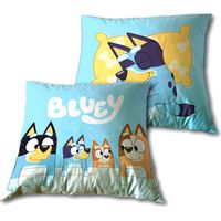 Cojin Bluey