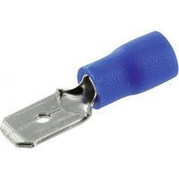 Männliche Clips blau D6.35mm - 10P