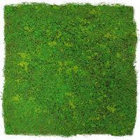 JANGAL Modular Wall Akustik 3D Paneele 520 x 520 mm Light Green Fibre Design Moos Kunst Pflanzwand Moospaneele