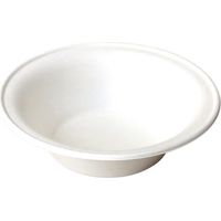 Assiette jetable 910 ml en cellulose - 250 pièces - Ecobioshopping