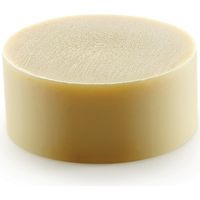 Festool – Colle multi-usage transparente pour bois et plastique – Résistance à l'humidité D1 – Température de traitement 190°C – SKU 499812