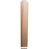 Levigne – Lame de portail en bois massif Douglas 150 cm – Section 91x21 mm – Pour portails et clôtures extérieures – Traitement extérieur recommandé
