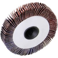 spazzola lamellare per spazzolatrice valex "s310" 10 mm