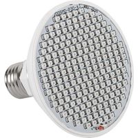 Hochsichere, neothermostatische, stilvolle und praktische Pflanzenlampe – das ideale Geschenk für Outdoor-Aktivitäten