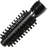 Brosse sanglier