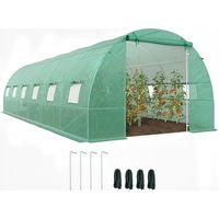 Serra da Giardino a Tunnel 8x3x2 m con Porte Avvolgibili e 12 Finestre, Serra per Orto con 4 Rinforzi Diagonali, Struttura in Acciaio e Copertura PE, per Orto Verdure Fiori Frutta, Verde