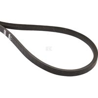Cinghia TIELBÜRGER HB020243