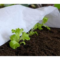 Direct Filet – Voile de forçage 17g/m² – 10m x 3,20m – Polypropylène léger pour forçage et croissance – Protection thermique et micro-climat