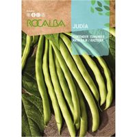 Ebraico rocalb