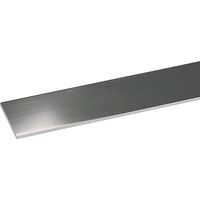PROFILO PIATTO ARCANSAS - ALLUM ARGENTO LUX S.MM 2,0 MM 15 H.CM 100- 5 pezzi