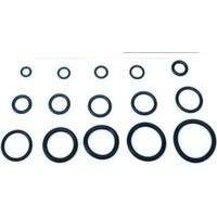 O-RING 5,70X1,90 P/FLESSIBILE MISCELATORE PZ.100