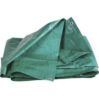 Bâche De Protection Professionnelle Renforcée 4x5m 170g/m² - Capvert