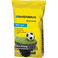 Barenbrug RPR® Lawn Semi per Prato Ultra Resistente al Calpestio 5 kg 250 m²