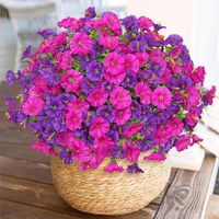 Lot de 10 fleurs artificielles d'extérieur résistantes aux UV - Plantes artificielles à suspendre(violet fuchsia)