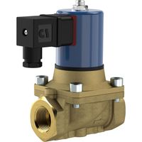 Riegler 2/2 MV, NO, MS, G34, DN20, PN 0-12, NBR, zwangsg., 24V DC