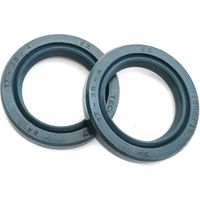 STI Paraoli 17x25x4 coppia alta scorrevolezza in Viton per Blata TecnoX (coppia)